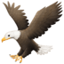 :eagle: